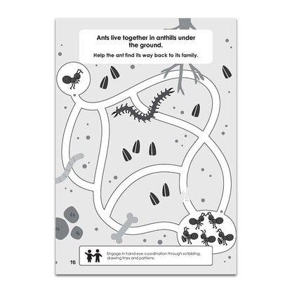 Animal Kingdom - Activity Book (Ages 4-8)