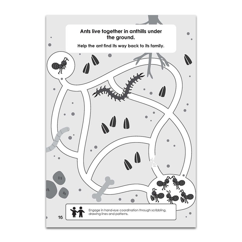 Animal Kingdom - Activity Book (Ages 4-8)