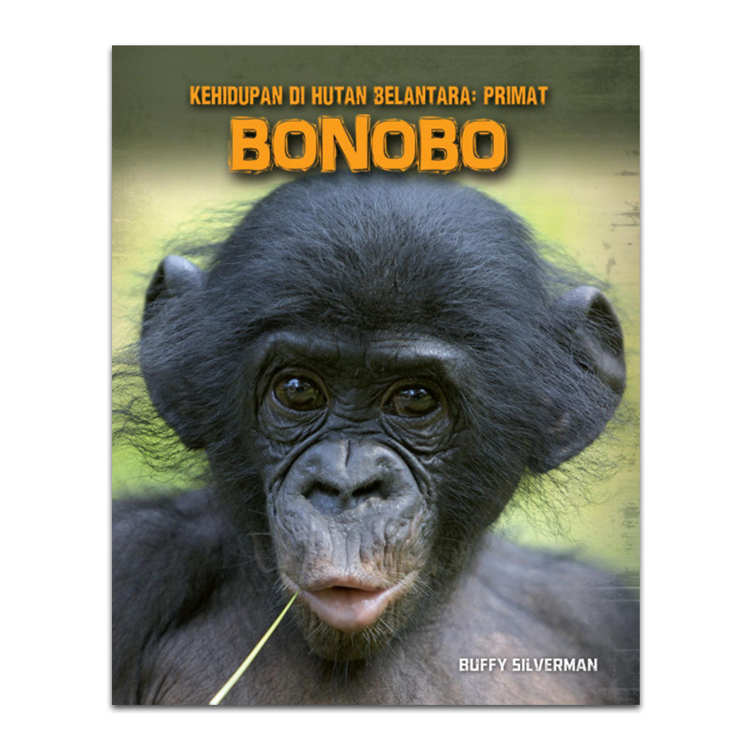 Bonobo