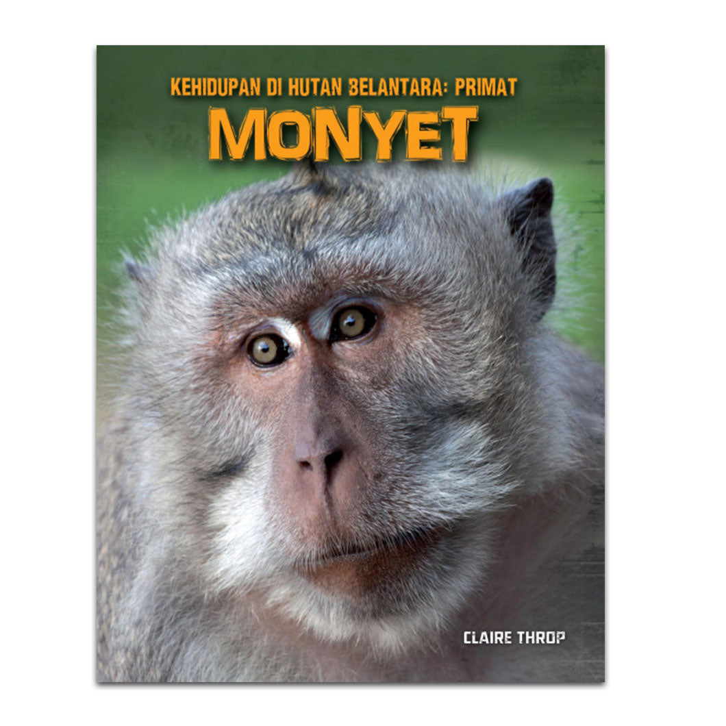 Monyet