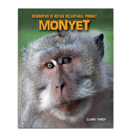 Monyet