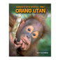 Orang Utan