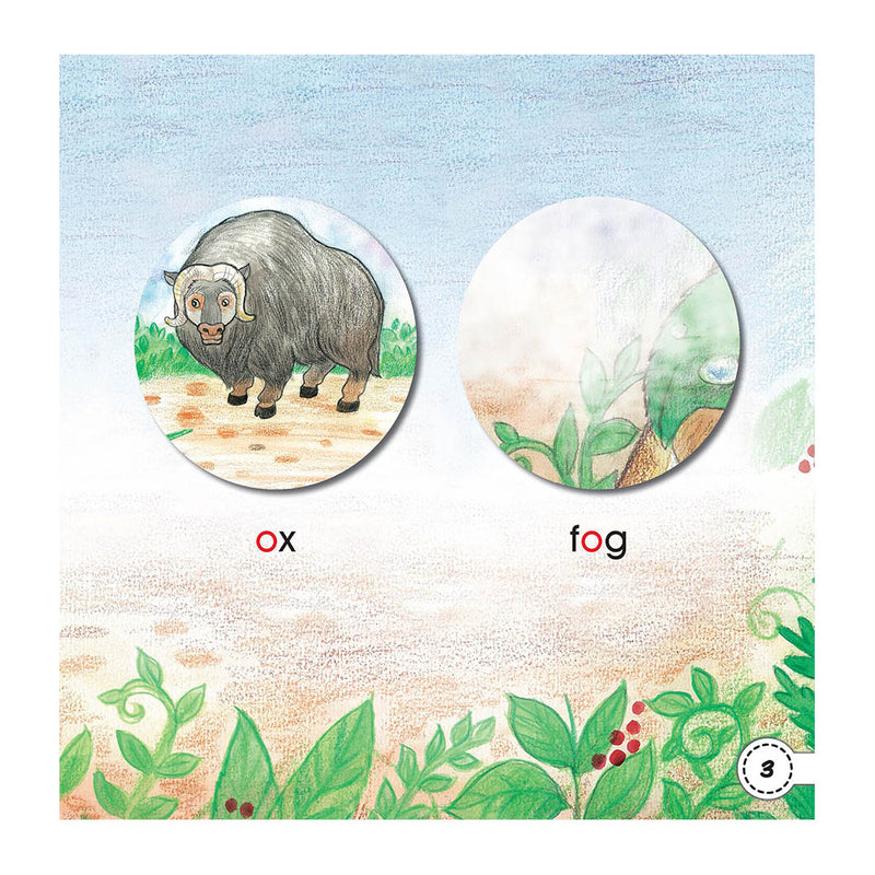 Graded Reading Series - The Dog The Fox & The Ox